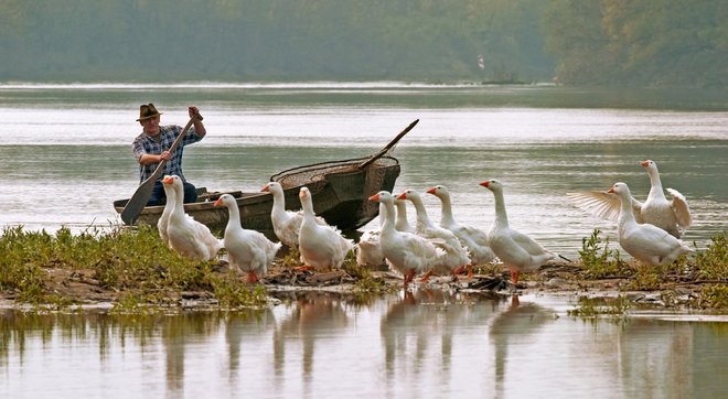 11 rijeka sava krapje 2005