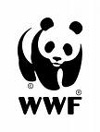 Wwf